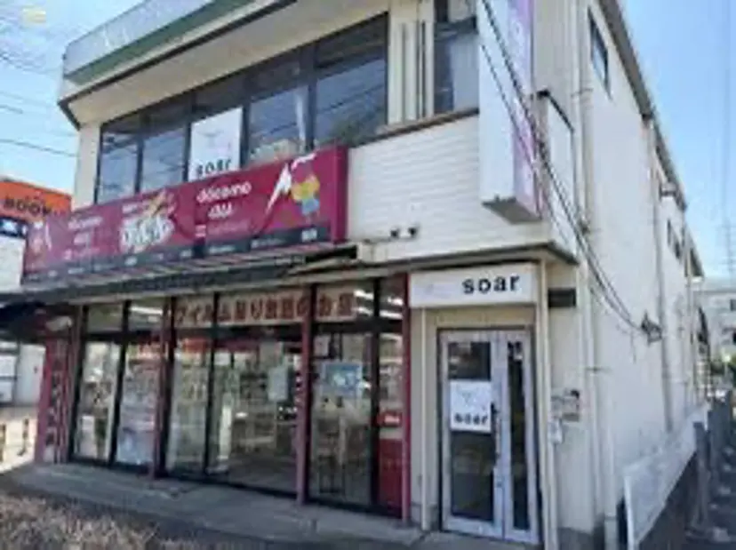 岡田 歩乃佳の掲載