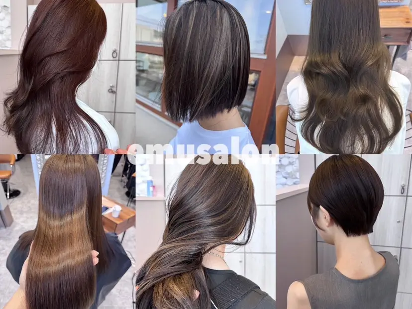 emusalon erinaの掲載