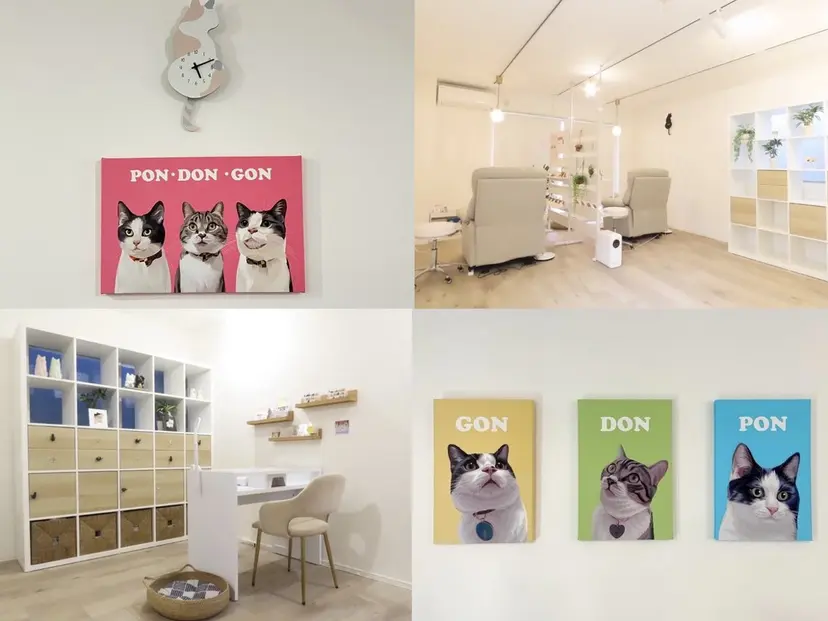 purr IORIの掲載