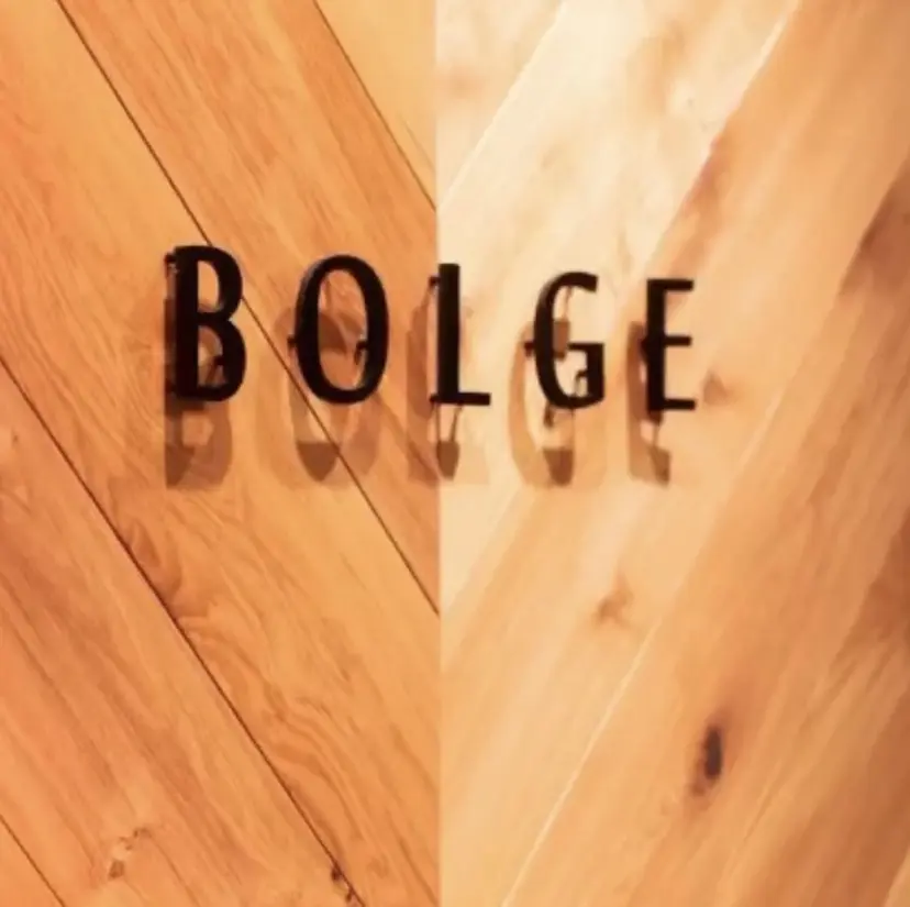Bolge 加島の掲載