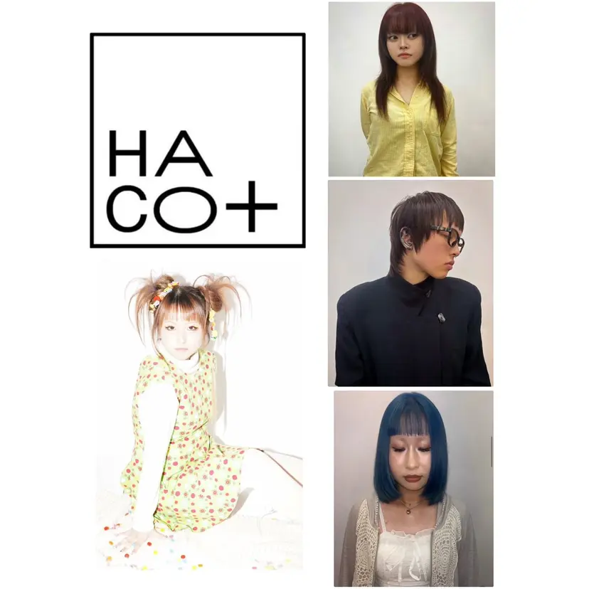 HACO+ MOE/モエの掲載