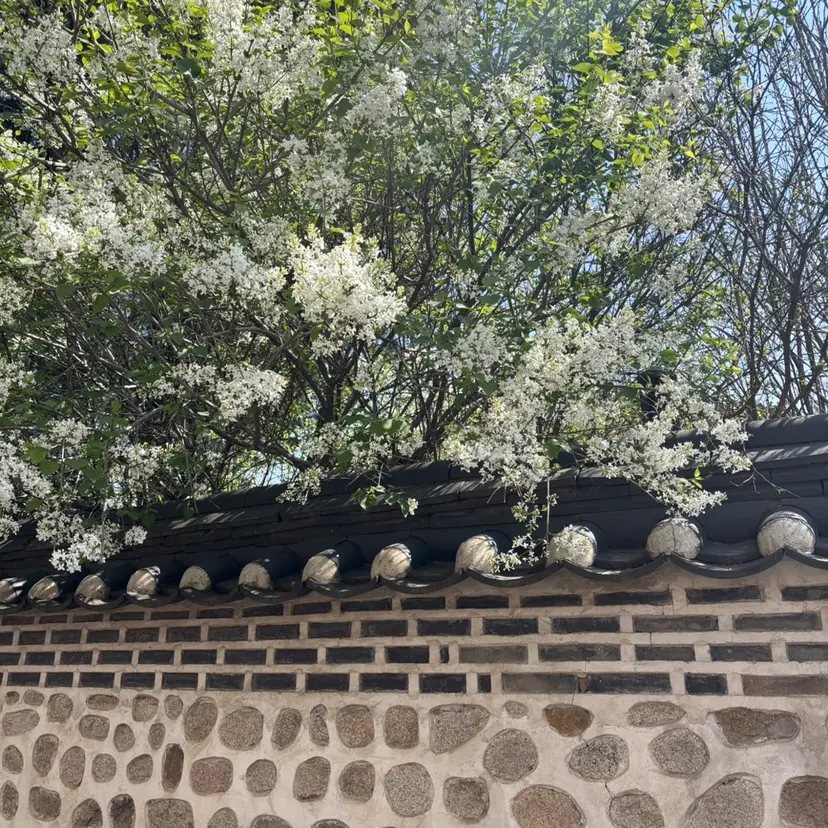 立川マツエク 🎀inoueの掲載