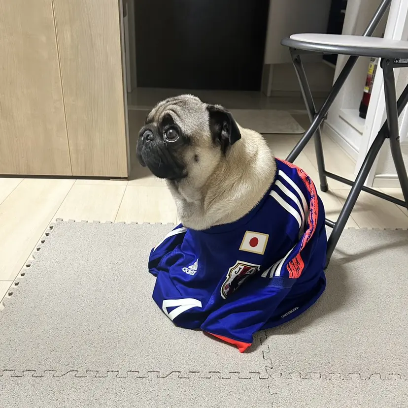 谷 智博の掲載