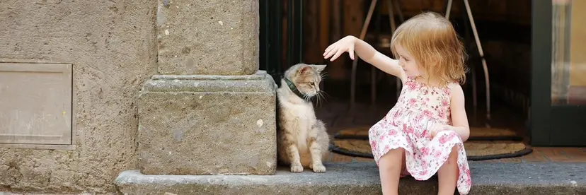 近藤 💜🧡の掲載