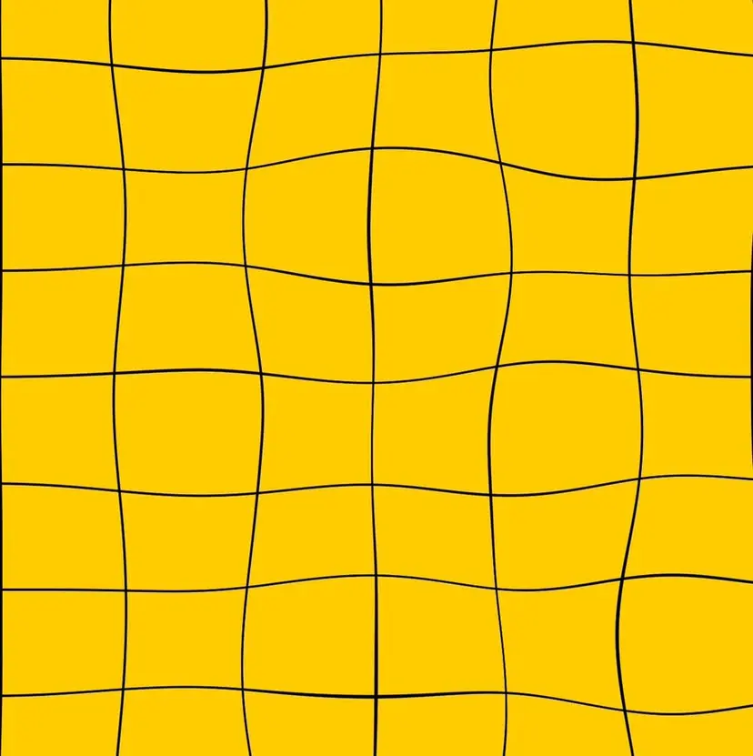 🦩Suzuki Kokoro🦩の掲載