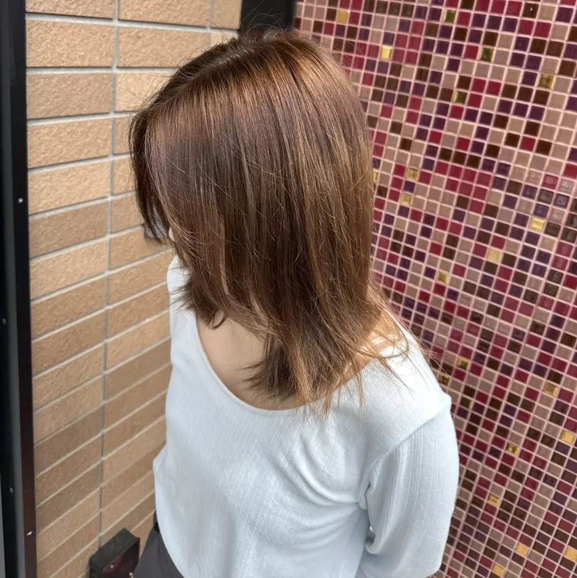 片村 猛琉の掲載