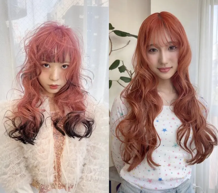ness 一花の掲載