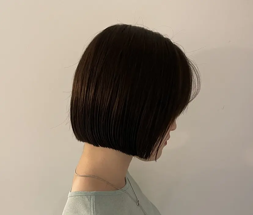 WA KOの掲載
