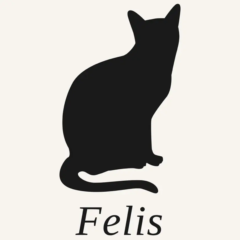 Felis りおの掲載