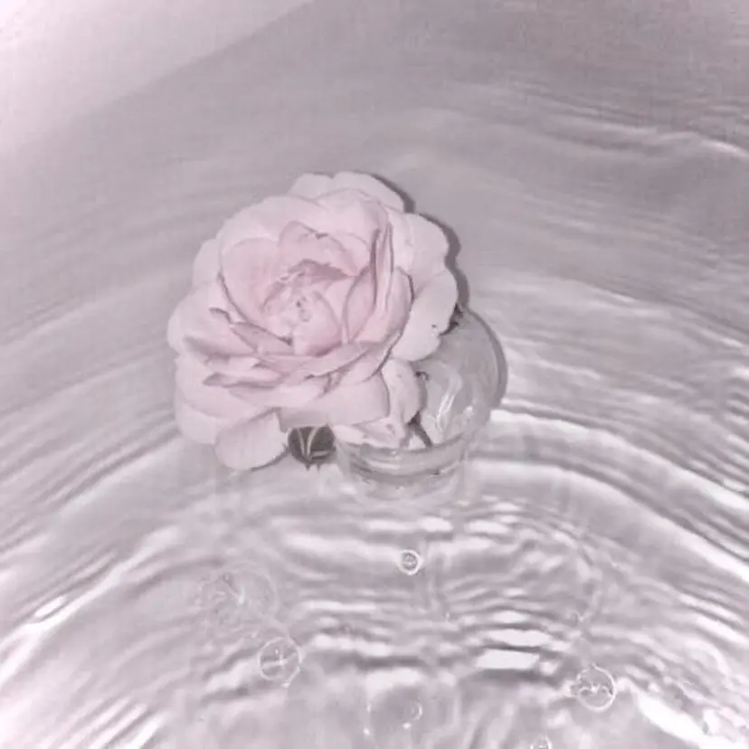 SUGAR ひなた 🎀⟡.·の掲載