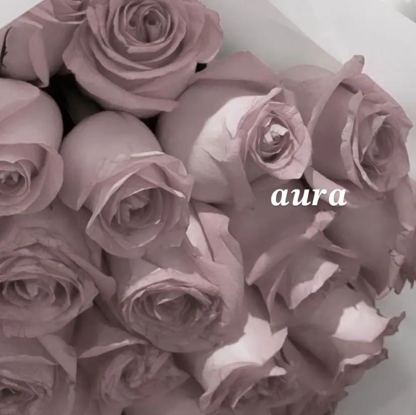rino / auraの掲載