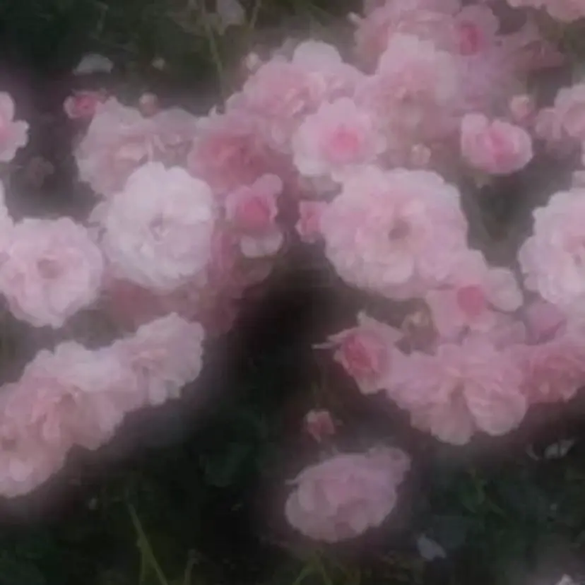 韓国まつげ💘美眉 七海の掲載