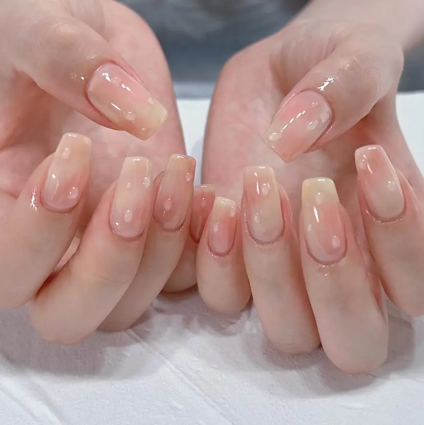Seeil .の掲載