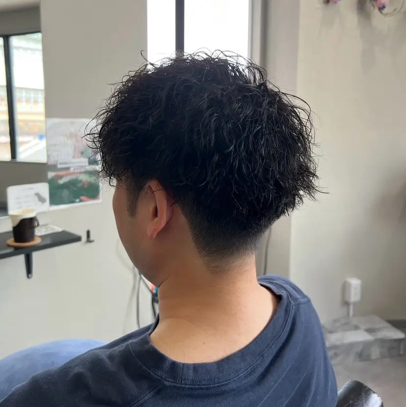 N-plants Saraの掲載