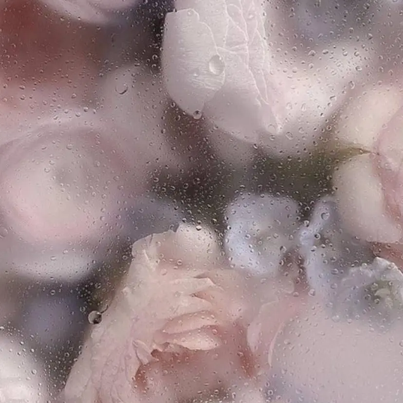 山本 愛菜の掲載
