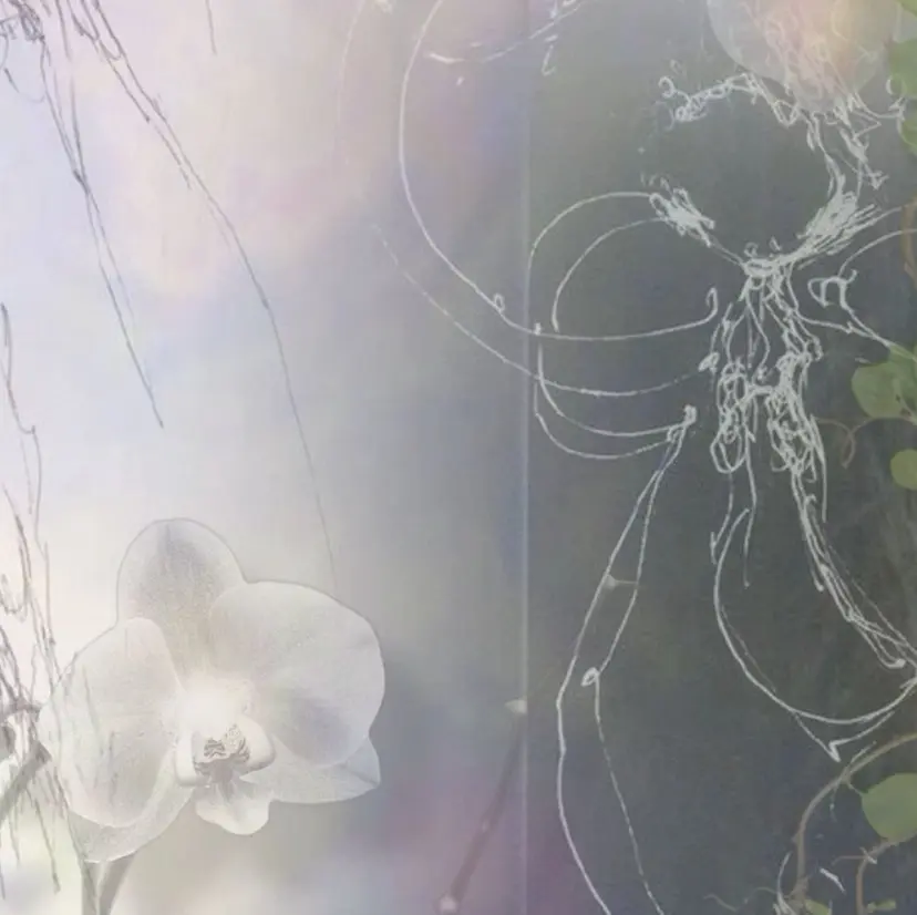 Elme/ IZUMIの掲載