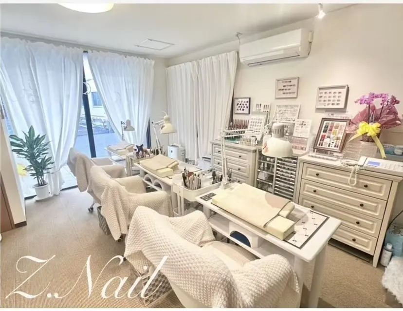 Z.Nail 研修の掲載