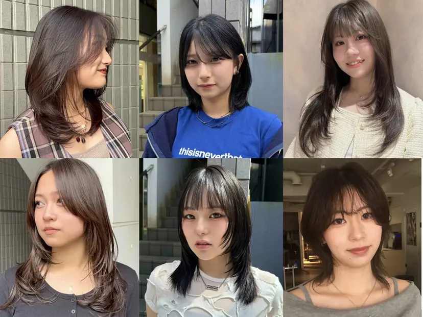 韓国レイヤー 🎀ダブルカラーの掲載