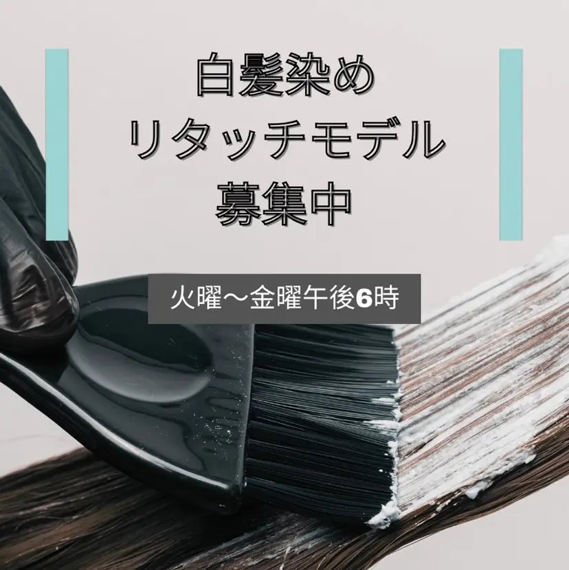 Ayano Shirahamaの掲載