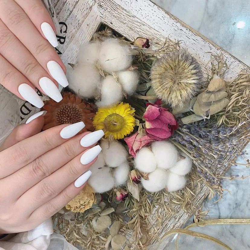 DG nailの掲載