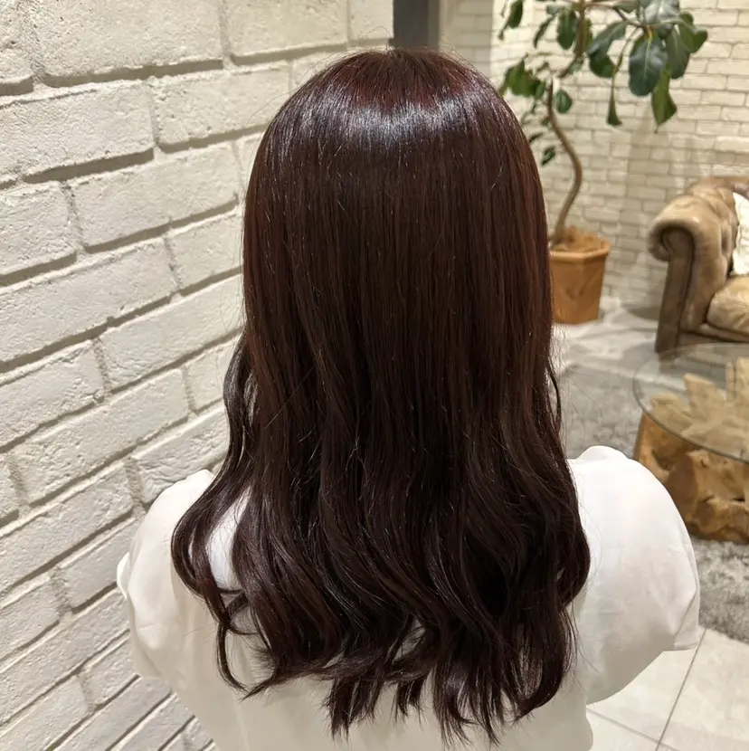 島田 紅の掲載