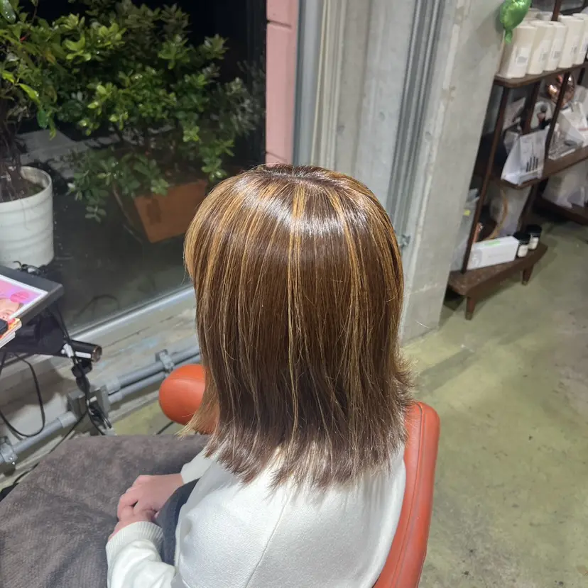 加藤 淳の掲載