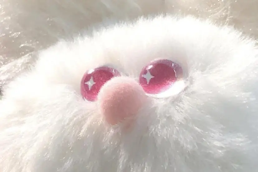 eyelist / asukaの掲載