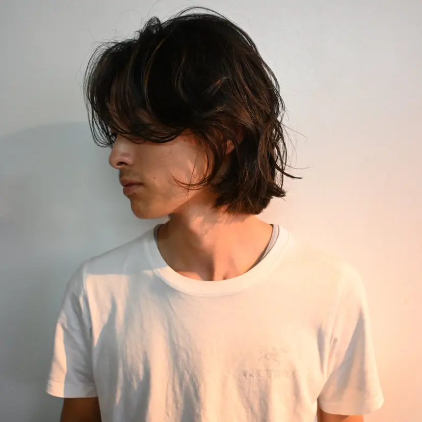 . gouの掲載