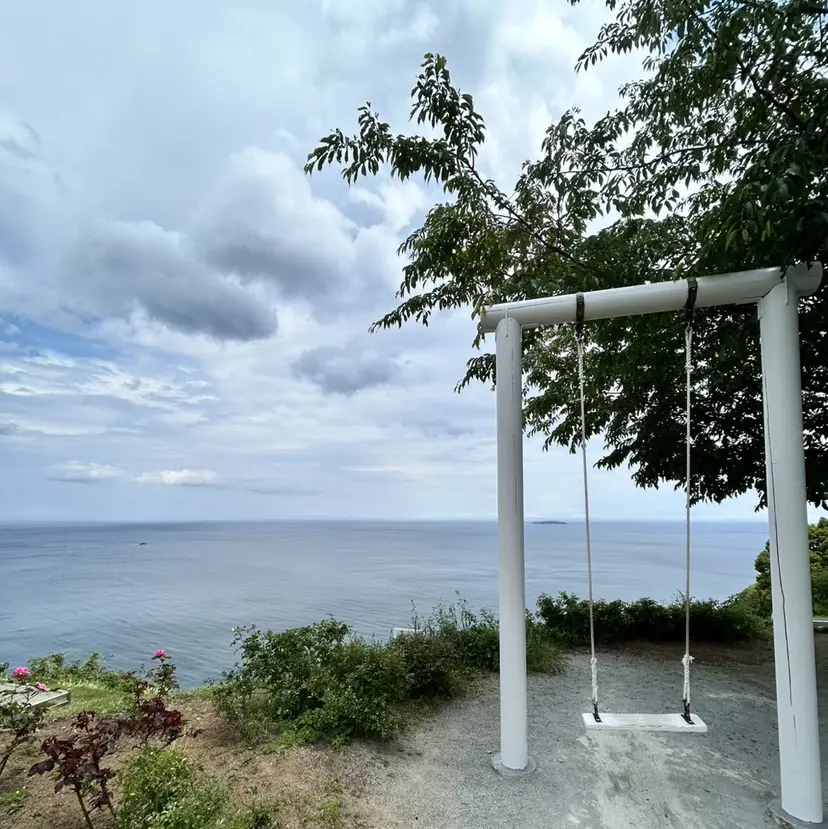 菅野 圭桃の掲載