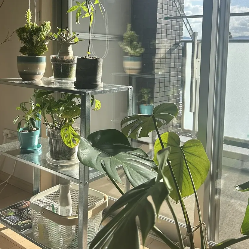 荒谷 薫の掲載