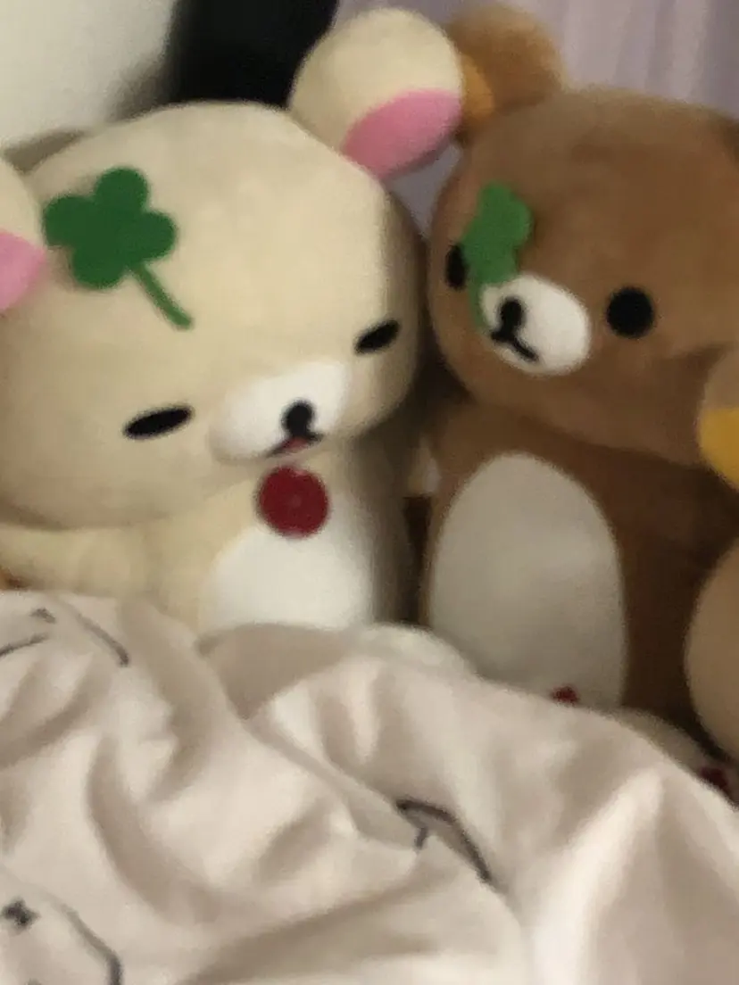 渡邉 莉乃の掲載