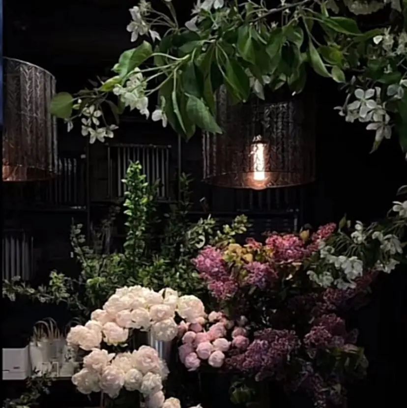 🌱kou 紅🪷の掲載