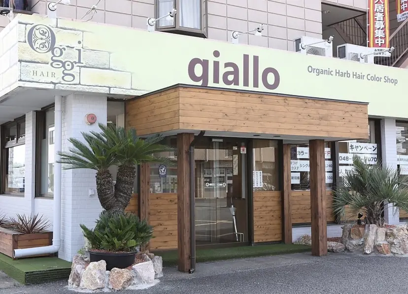 gaillo megumiの掲載
