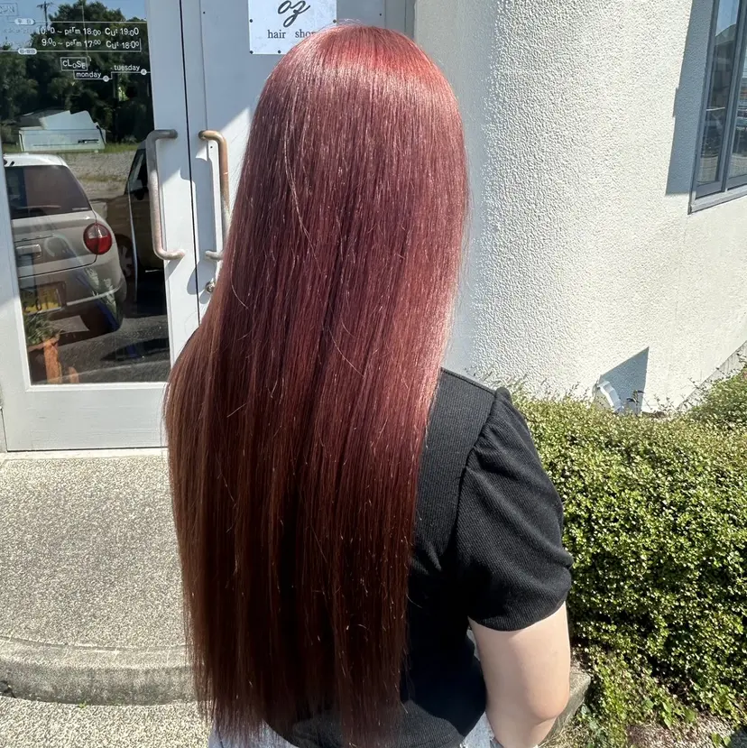 岡本 妃麗の掲載