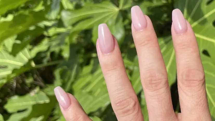 Atelier Ñikaの掲載