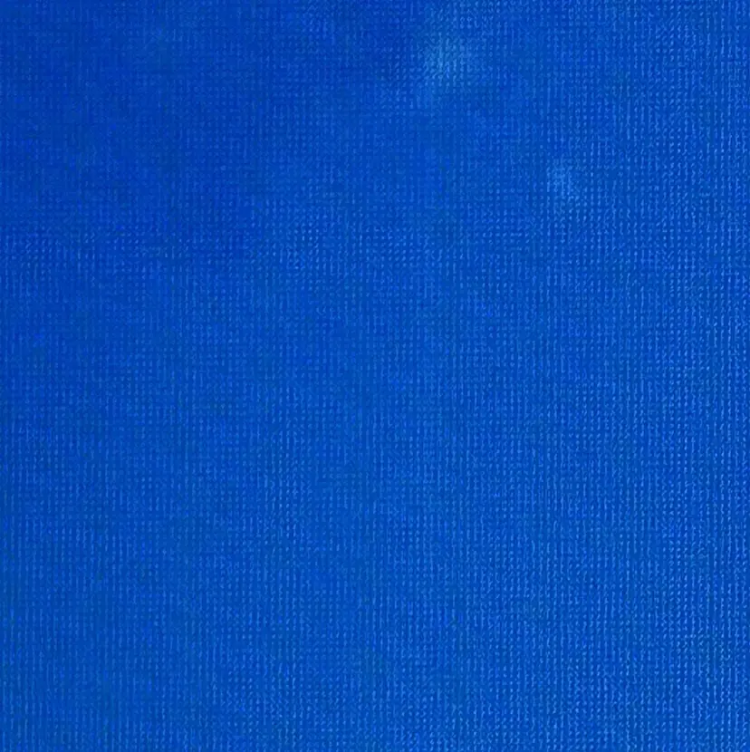 藤本 華穂の掲載