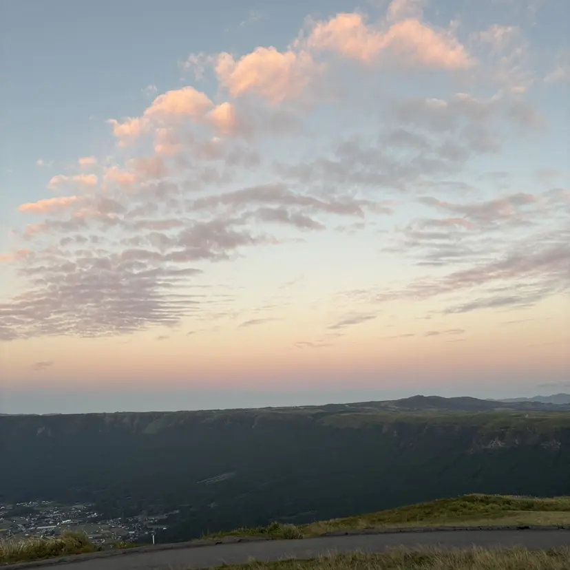 林田 紗羽の掲載