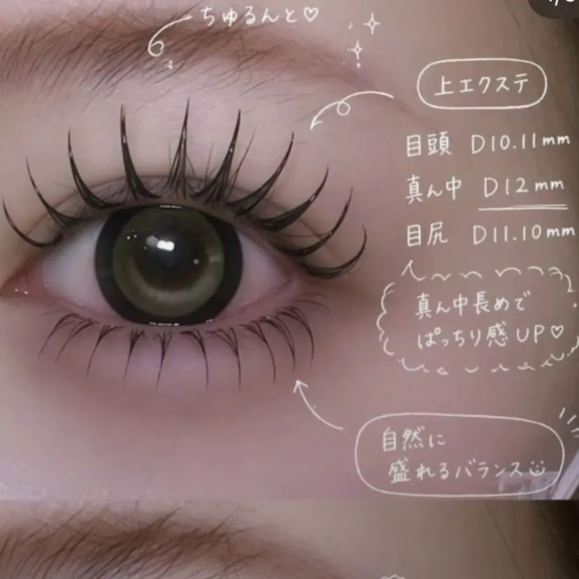 周 テイの掲載
