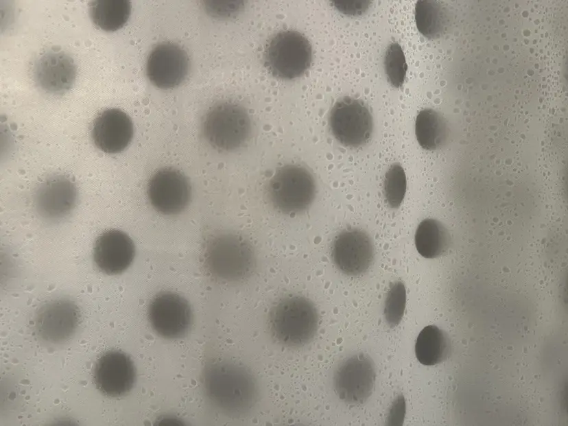 篠崎 良菜の掲載