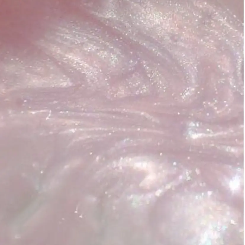 ＊ante＊ kurumiの掲載