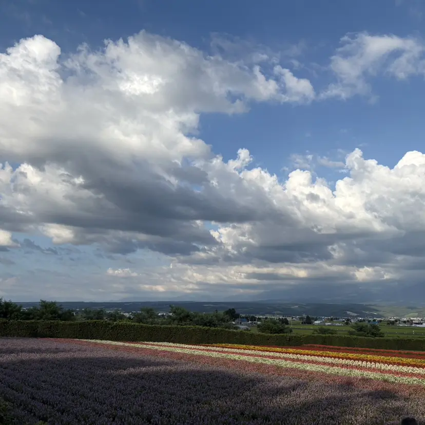 マコ ✿︎の掲載