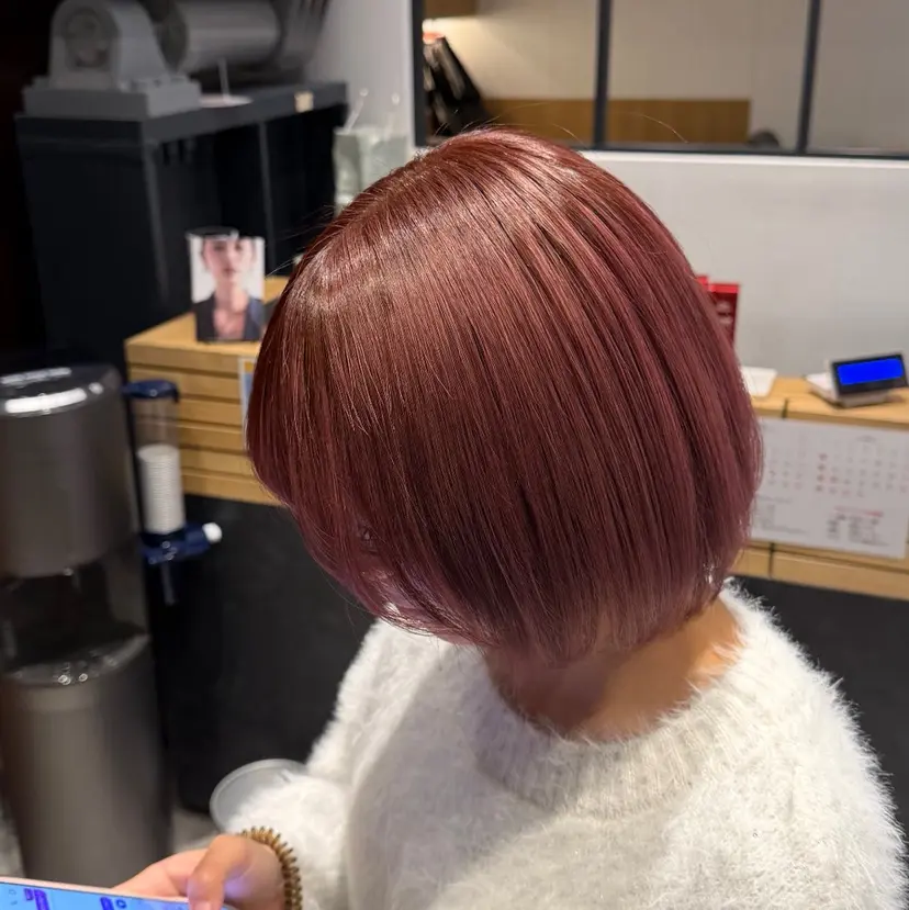 田中 望夢の掲載