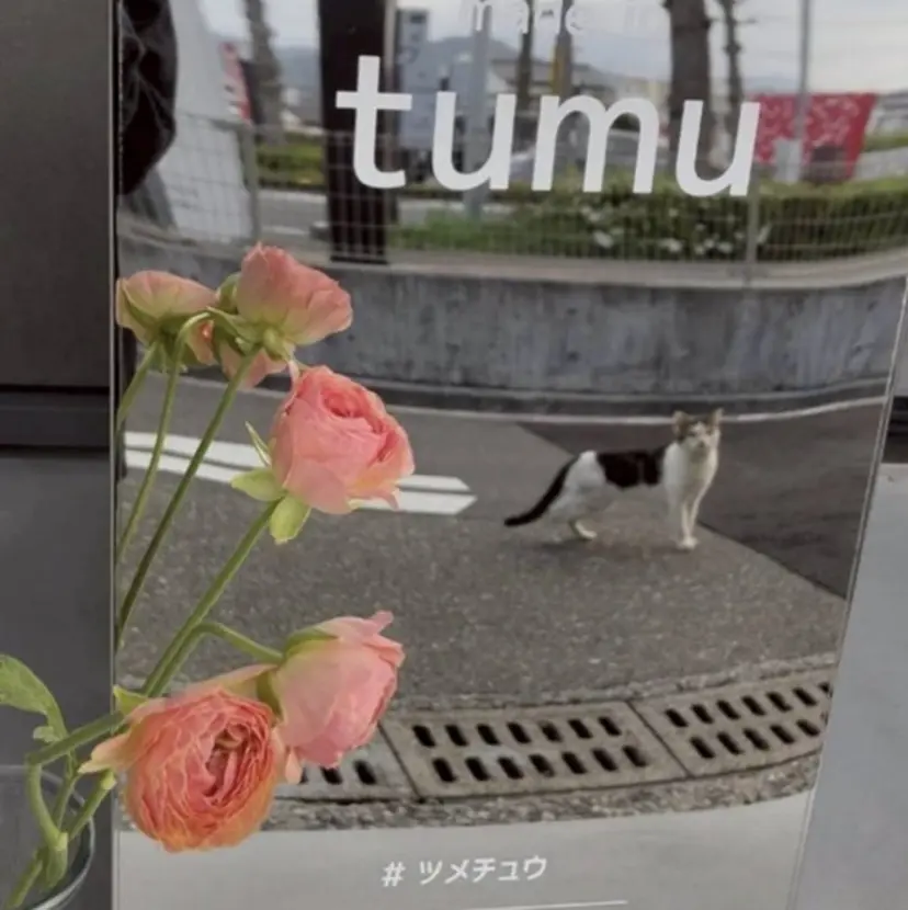 中山 かな🐈⸒の掲載