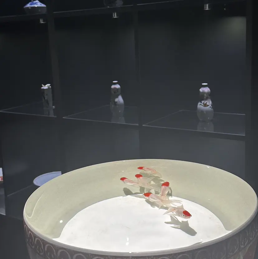 Lu naの掲載