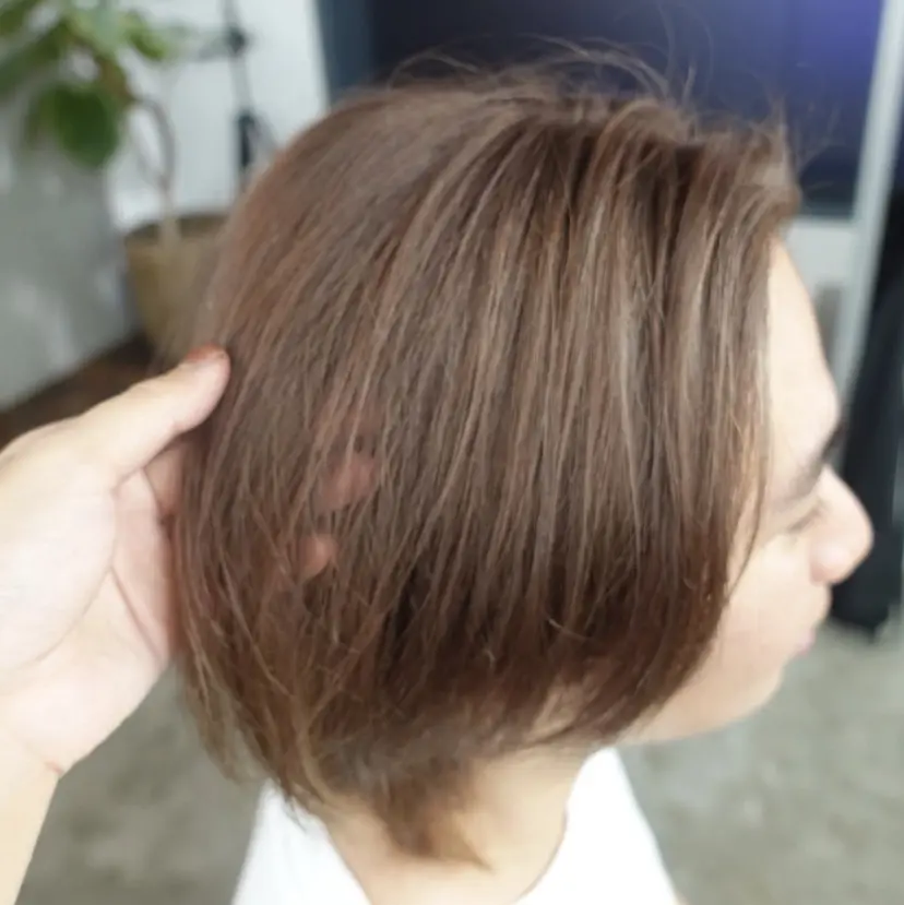 ユ ラの掲載