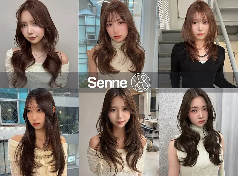 Senne groupの掲載