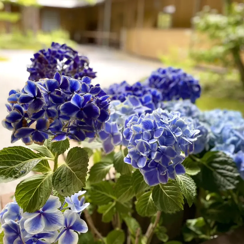 𝒴𝓊𝓀𝒶 𓂃🤍 ️の掲載