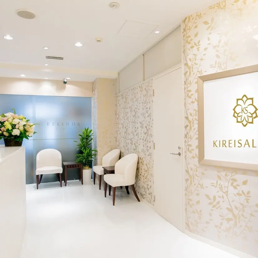 痩身✨キレイサローネ 銀座ANNEX店の掲載