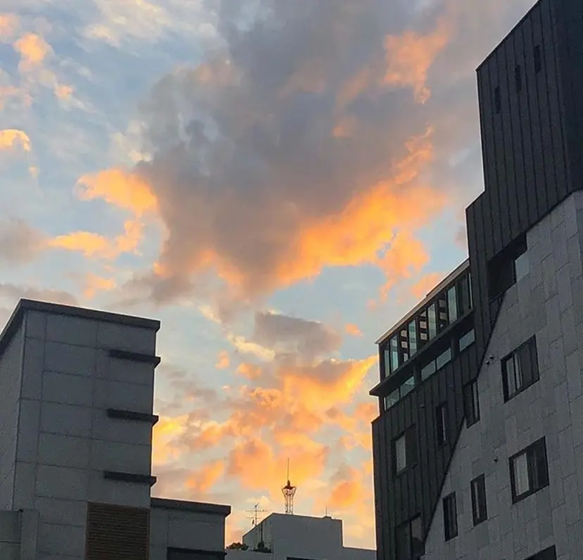 中島 史優の掲載