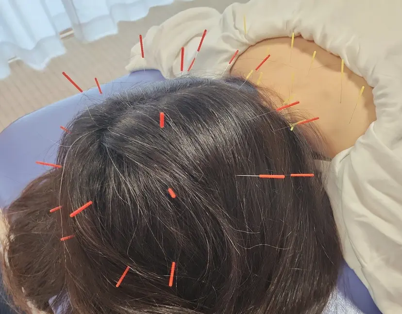 近藤 桂生の掲載